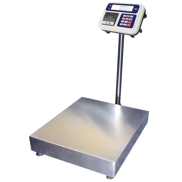 Plat Form Weighing Scale